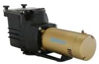 Doheny's Pool Pro Plus In-Ground Swimming Pool Pumps (1 HP)