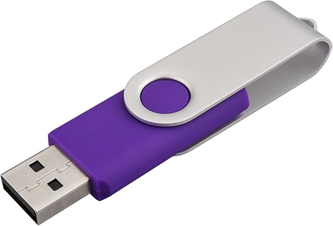 KALSAN 10 Pack 8GB USB Flah Drive USB 2.0 Pen Drive-Purple