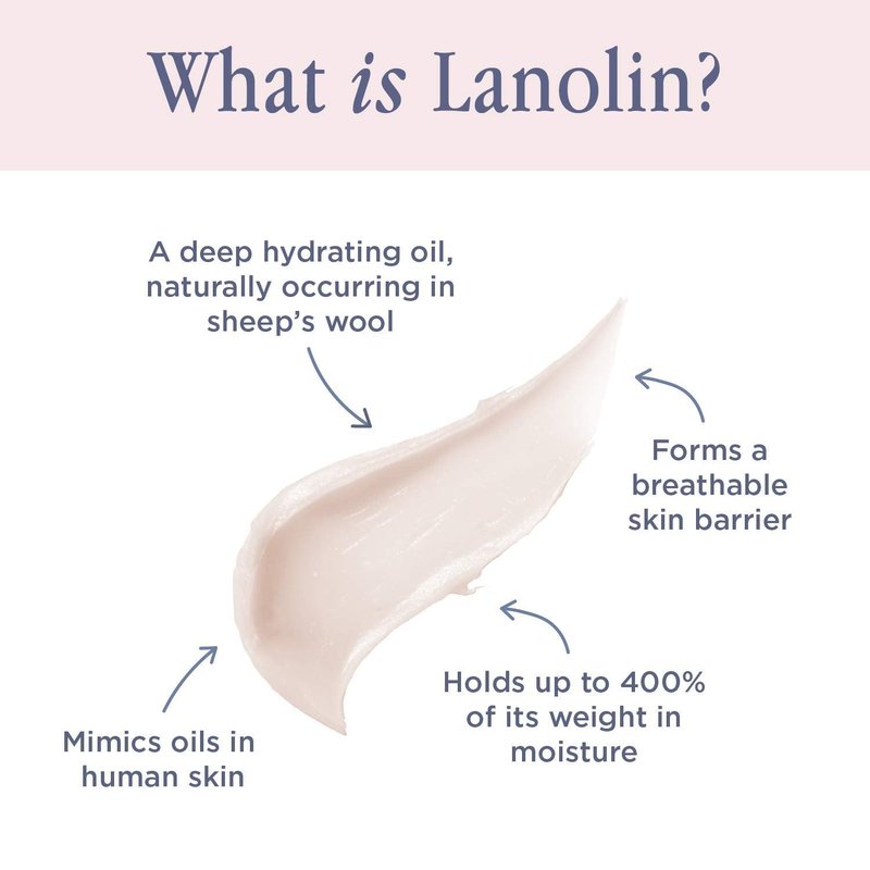 Lanolips Essentials Lip Tint Gift Set - Tinted Lanolin Lip Balm Set - Hydrating Lip Moisturizer Kit with Three Universal Shades (12.5g / 0.44 oz each)