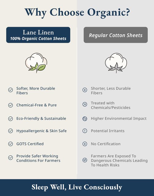 LANE LINEN 100% Organic Cotton Queen Sheet Set, 4Pc Cotton Sheets Queen Size Bed Set, Soft Percale Weave, Deep Pocket Queen Sheets, Hotel-Quality Bed Sheets Queen Size - Glacier Grey