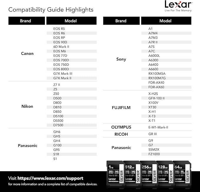 Lexar 256GB Professional Silver SD Card, UHS-I, C10, U3, V30, 4K, Up to 225/160 MB/s SDXC Memory Card, for Photographer, Videographer, Enthusiast (LSDSILV256G-BNNNU)