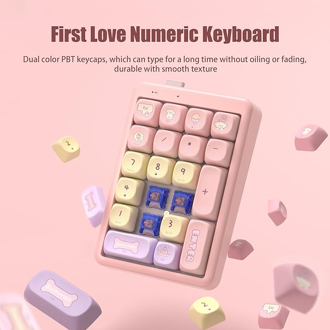 Mechanical Number Pad Wireless Numeric Keypad Bluetooth Numpad 10 Key