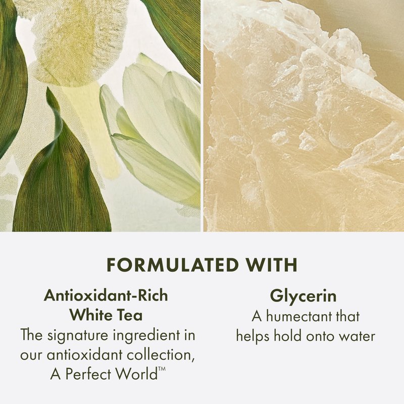 Origins A Perfect World Antioxidant Cleanser | For Dry and Combination Skin | With White Tea & Glycerin, 5 Fl Oz