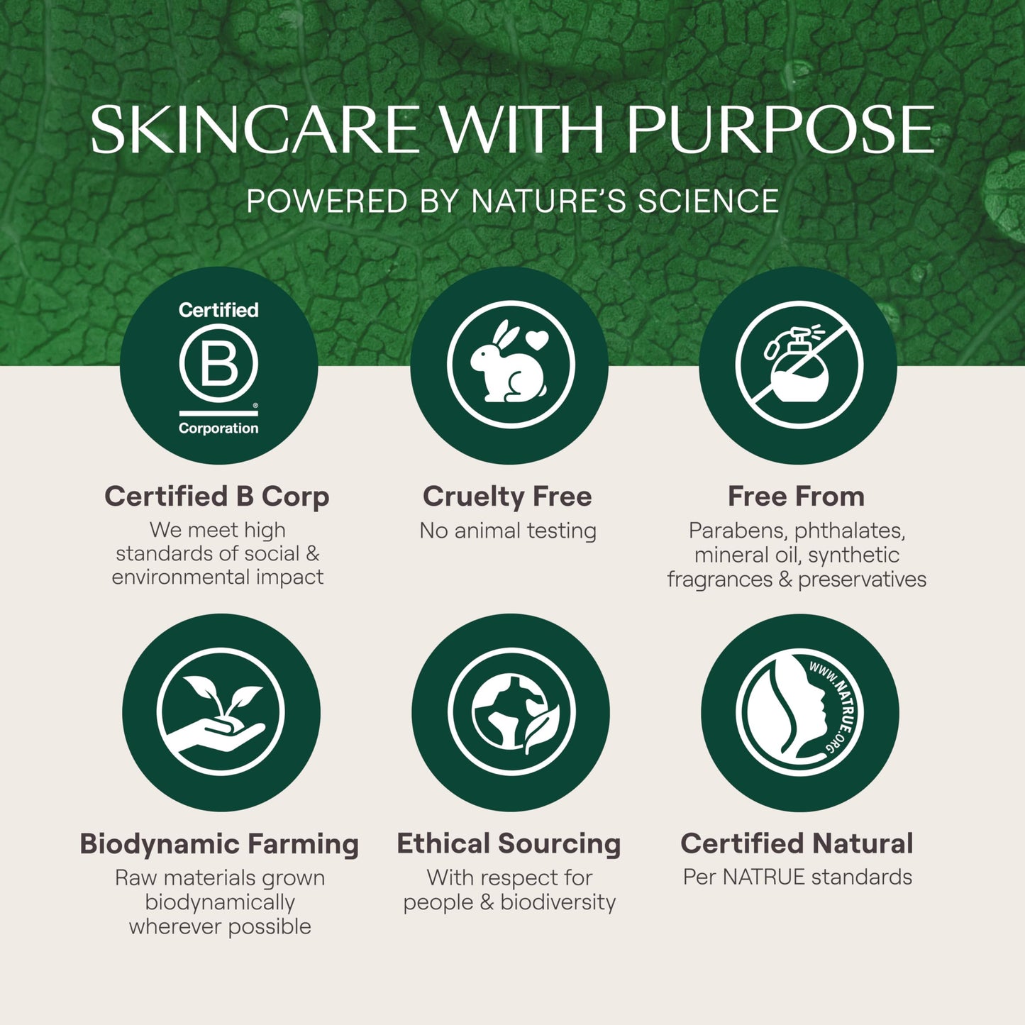 Weleda Baby Calendula Comforting Body Lotion, Plant Rich Moisturizer with Calendula, Chamomile, Sweet Almond and Sesame Oils, 6.8 Fl Oz