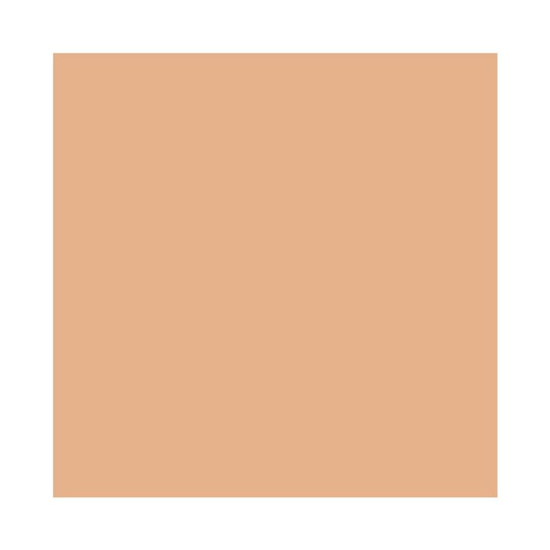 MAC Studio Fix Powder Plus Foundation C5.5 - Lightweight, Full Coverage | 0.52 Ounce