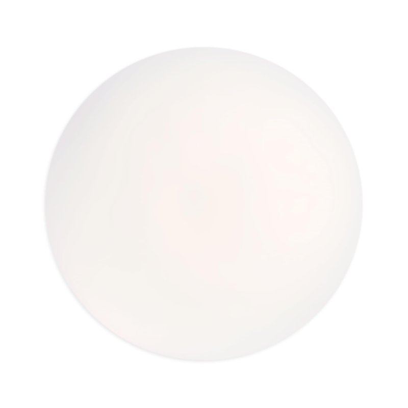 wet n wild 5 In 1 Essence Face Makeup Primer Liquid