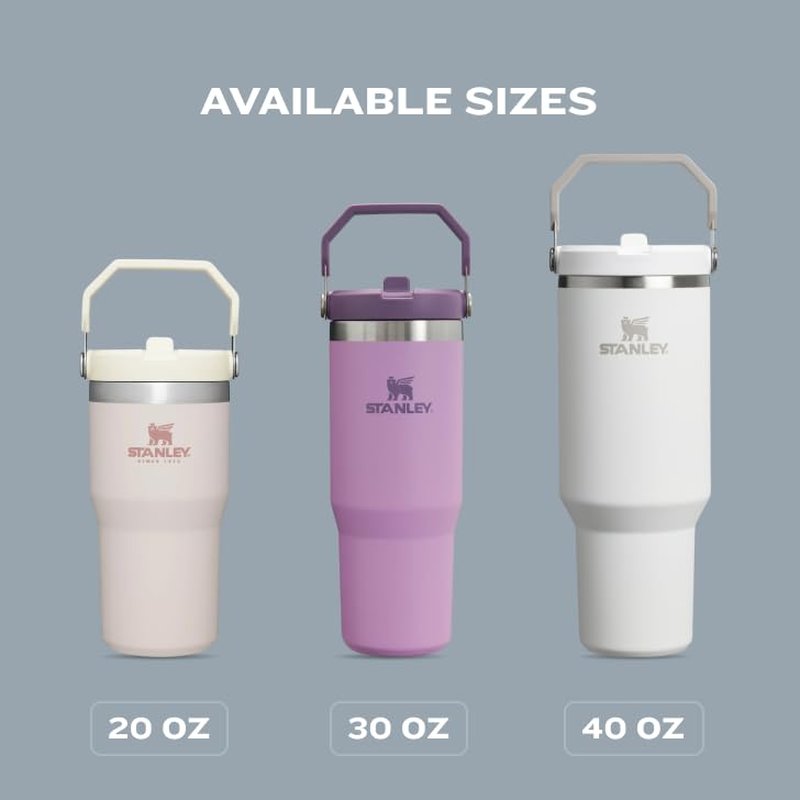 STANLEY IceFlow Flip Straw Tumbler with Handle 30 oz | Twist On Lid and Flip Up Straw | Leak Resistant Water Bottle | Insulated Stainless Steel |BPA-Free | Mist