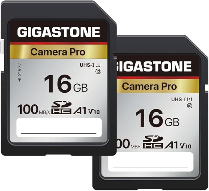 【5-Years Data Recovery】 GIGASTONE 16GB SD Card 2-Pack, Camera Pro, UHS-I A1 V10 SDHC Memory Card Compatible with SPYPOINT TACTACAM Trail Camera, with 2 Mini Cases.