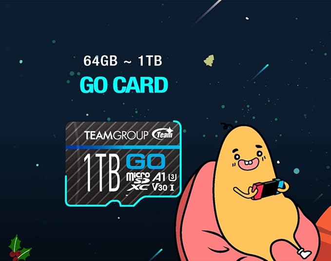 TEAMGROUP GO Card 128GB x 2 Pack MicroSDXC UHS-I U3 V30 4K for Action Cameras & Drone High Speed Flash Memory Card with Adapter for Outdoor Sports&Vlog, 4K Shooting,GoPro&Insta360&DJI TGUSDX128GU364