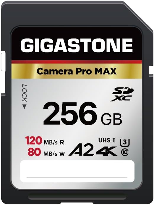 【5-Years Data Recovery】 GIGASTONE 256GB SD Card, 4K Camera Pro MAX, UHS-I A2 4K SDXC Memory Card High Speed 4K UHD Video Compatible with Kodak Digital Camera, with 1 Mini case