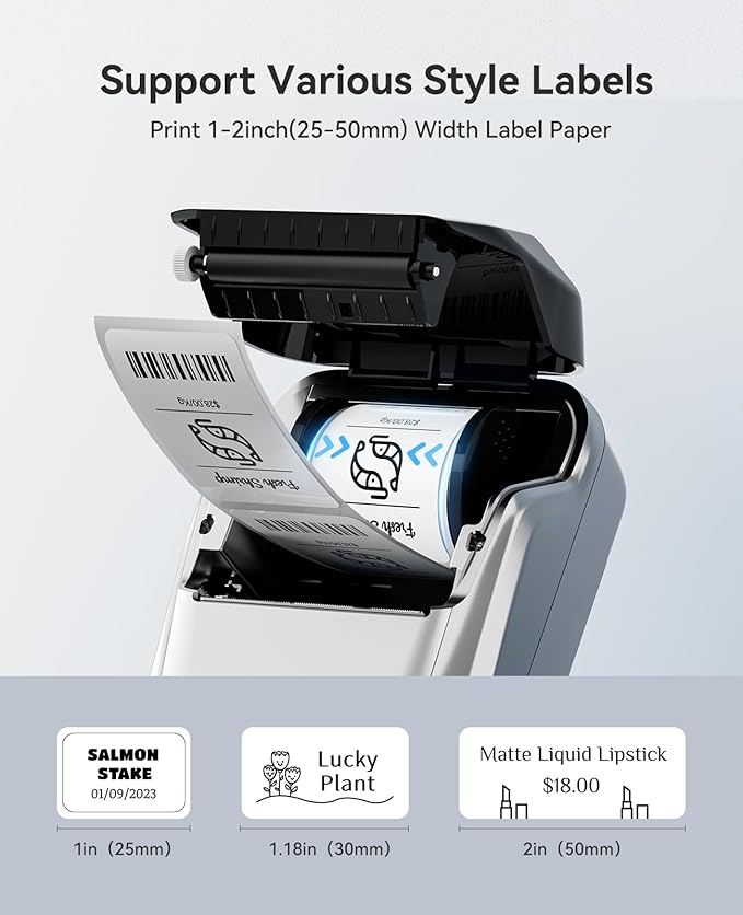 NIIMBOT B1 Label Maker Machine, Thermal Label Printer Easy to Use for Office, Home, Business, Came with 1 Roll White Label(Sliver)