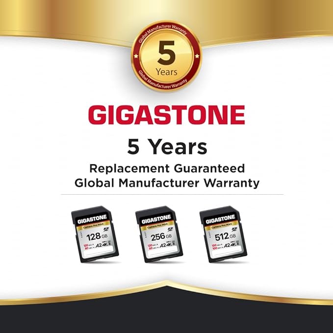 【5-Years Data Recovery】 GIGASTONE 256GB SD Card, 4K Camera Pro MAX, UHS-I A2 4K SDXC Memory Card High Speed 4K UHD Video Compatible with Kodak Digital Camera, with 1 Mini case
