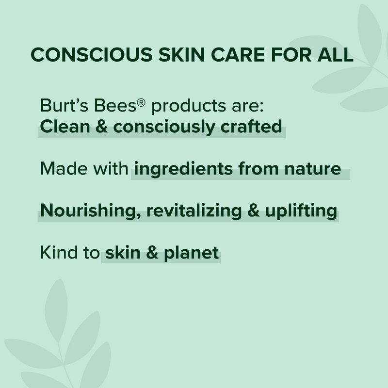 Burt's Bees Lip Balm, Ultra Conditioning with Kokum Butter, 0.15 oz (Pack of 6)