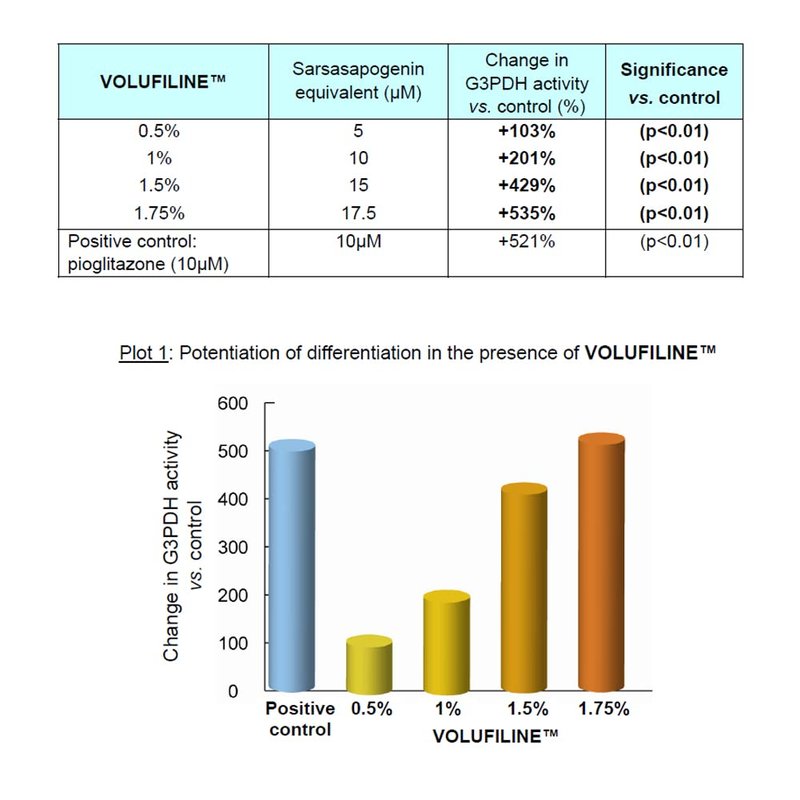 Volufiline 10ml - Cosmetic Ingredient for Skin Elasticity & Wrinkle Improvement | Face & Body Use