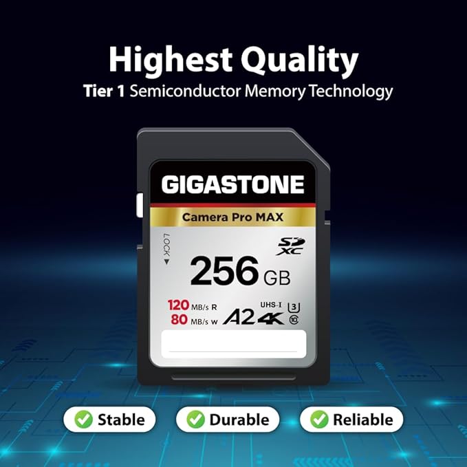 【5-Years Data Recovery】 GIGASTONE 256GB SD Card, 4K Camera Pro MAX, UHS-I A2 4K SDXC Memory Card High Speed 4K UHD Video Compatible with Kodak Digital Camera, with 1 Mini case