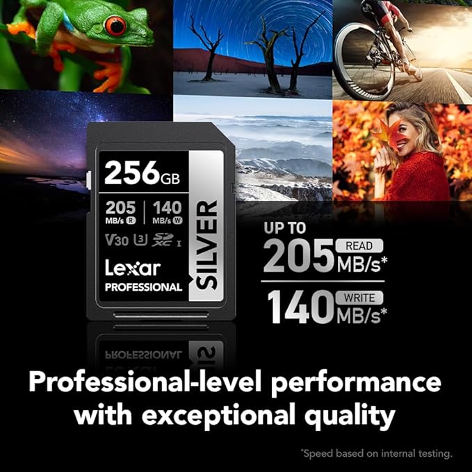 Lexar 256GB Professional Silver SD Card, UHS-I, C10, U3, V30, 4K, Up to 225/160 MB/s SDXC Memory Card, for Photographer, Videographer, Enthusiast (LSDSILV256G-BNNNU)