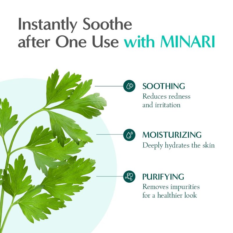 RATAPLAN Water Parsley Calming Toner 2 Pack - with Centella Asiatica, Heartleaf, Korean Skin Care, Reduce Skin Heat, Hypoallergenic Soothing Toner