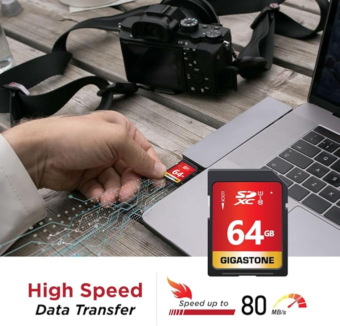 GIGASTONE 64GB SD Card 10-Pack UHS-I U1 Class 10 SDXC Memory Card High Speed Full HD Video Olympus Digital Camera with 10 Mini Cases
