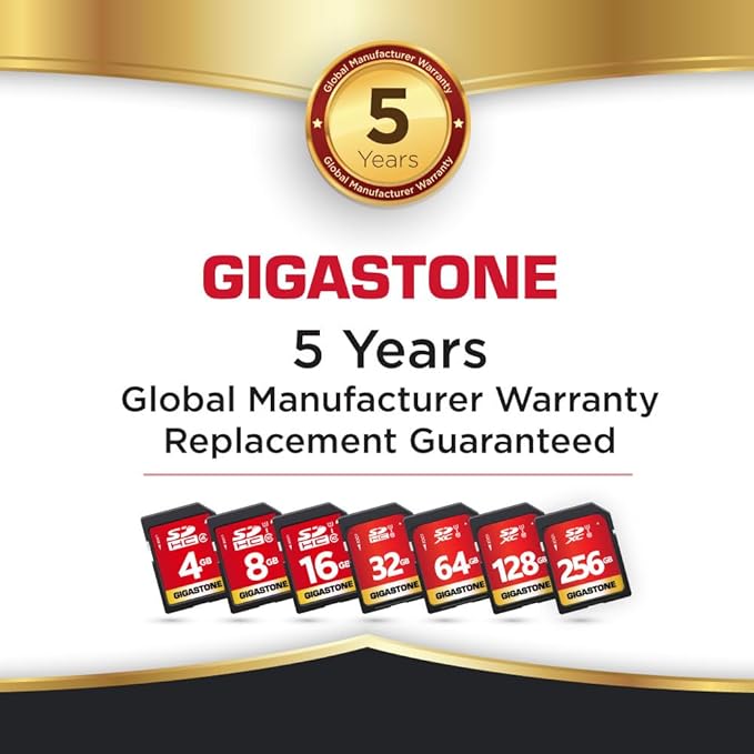 GIGASTONE 128GB SD Card 10-Pack UHS-I U1 Class 10 SDXC Memory Card Full HD Video for Digital Camera, Full-Sized SD Card, with 10 mini Cases