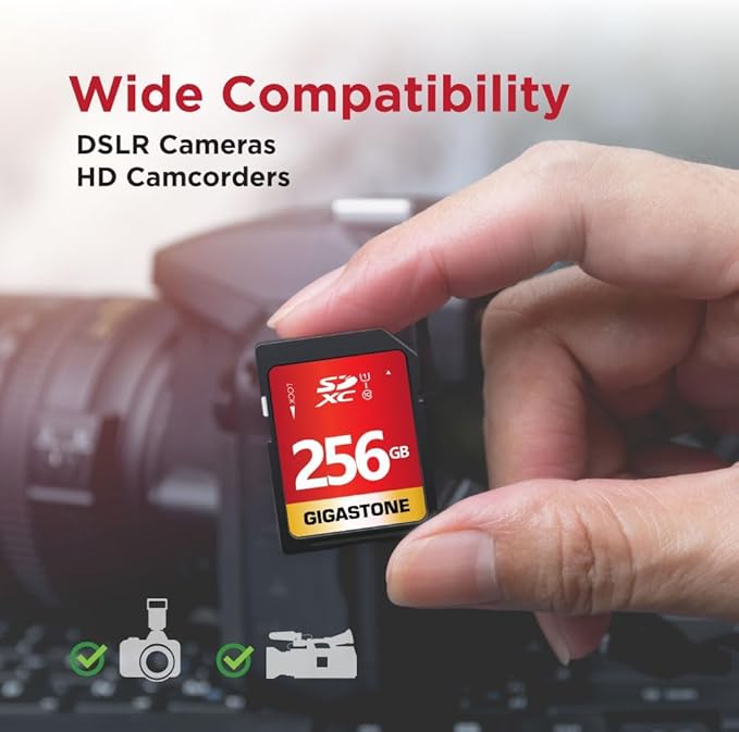 GIGASTONE 256GB SD Card UHS-I U1 Class 10 SDXC Memory Card High Speed Full HD Video Nikon Sony Pentax Kodak Olympus Panasonic Digital Camera, with 1 mini case