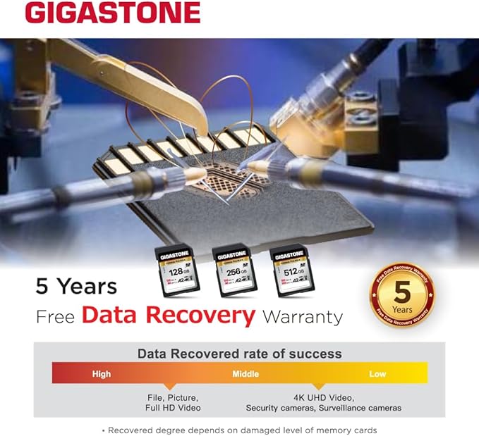【5-Years Data Recovery】 GIGASTONE 256GB SD Card 2-Pack, 4K Camera Pro MAX, UHS-I A2 4K SDXC Memory Card High Speed 4K UHD Video Compatible with Kodak Digital Camera, with 2 Mini Cases