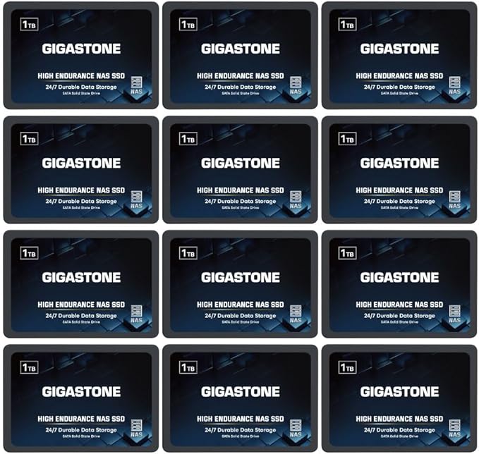Gigastone 【NAS Certified】 1TB High Endurance SSD (12-Pack) Up to 550MB/s TLC Flash with SLC Caching 24/7 Reliable for Gaming/PC/NAS SSD 5-Year Warranty 2.5" SATA Internal Solid State Drives RAID Disk