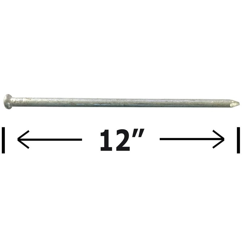120d - Galvanized Spike nail - Outdoor rust resistant nail, great for landscaping ties (10)
