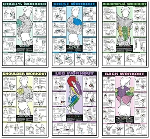 Skiennix 6PCS Workout Chart Posters - Motivational Gym Decor for Home | Fitness Exercise Charts for Triceps, Shoulders, Legs, Back, Chest, Abs