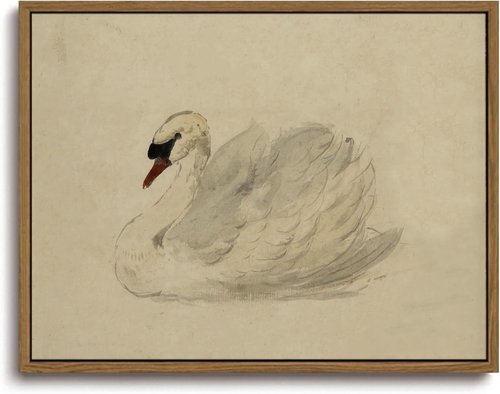KISSFOX Vintage Swan Wall Art | Rustic Canvas Decor for Bedroom, Living Room & Kitchen