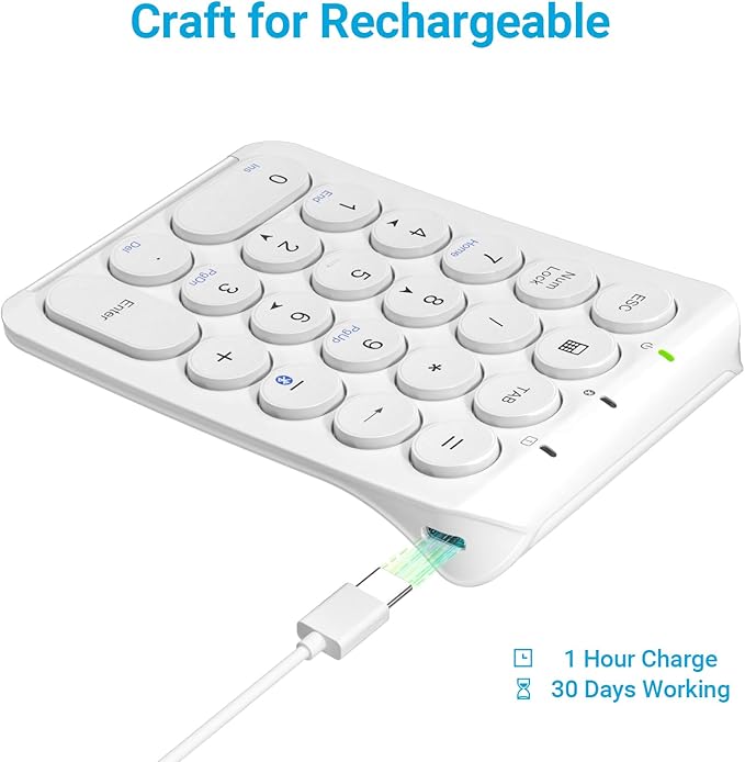 iClever KP08 Wireless Numeric Keypad, 22 Keys Bluetooth Number Pad Portable Number Keyboard, USB-C Rechargeable Numpad, Round Key, Data Entry, Compatible with Laptop, PC Desktop, Mac, Surface,Tablet
