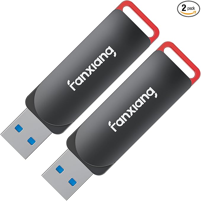 fanxiang 2 Pack 128GB USB Flash Drive, Metal Thumb Drives, USB 3.2 Up to 200MB/s Type A Memory Stick for Storage and Backup, F309