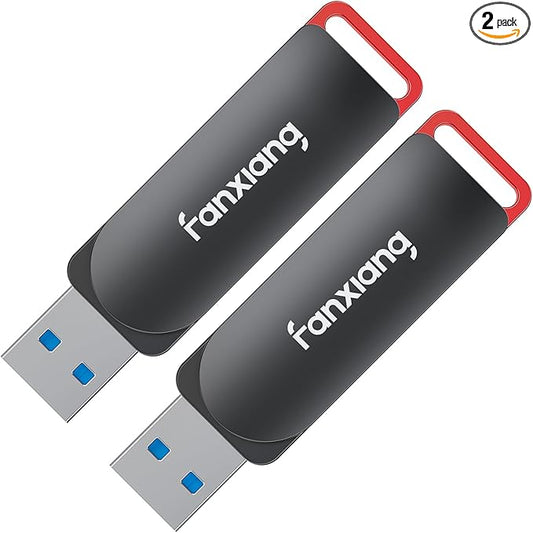 fanxiang 2 Pack 128GB USB Flash Drive, Metal Thumb Drives, USB 3.2 Up to 200MB/s Type A Memory Stick for Storage and Backup, F309