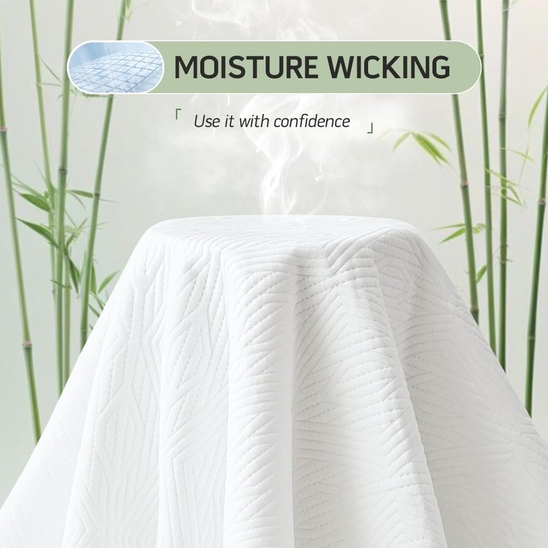 Premium Jacquard 100% Waterproof Queen Mattress Protector, Noiseless, Anti - Slip, Breathable Bed Cover, Rayon from Bambo, Quilted, Mattress Pad Sheet, Deep Pocket 8"-21"