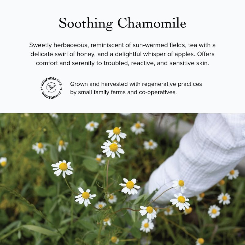 evanhealy Blue Lavender Cleansing Milk | Soothe & Calm Reactive Skin | Moisturizing Gentle Deep Clean For Sensitive Skin