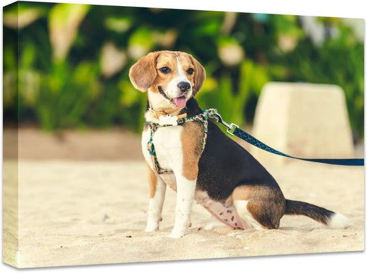 Skiennix Personalized Canvas Print - Custom Wall Art for Bedroom & Living Room | 16" W x 12" H
