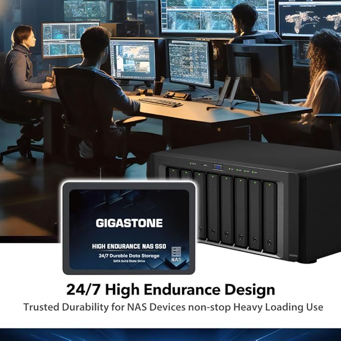 Gigastone 【NAS Certified】 1TB High Endurance SSD (24-Pack) for Gaming/PC/Laptop/NAS SSD TLC 24/7 Reliable 2.5" SATA Internal Solid State Drives RAID Data Storage 2.5 inches SATA 3.0