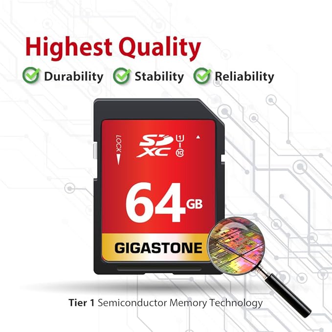 GIGASTONE 64GB SD Card 10-Pack UHS-I U1 Class 10 SDXC Memory Card High Speed Full HD Video Olympus Digital Camera with 10 Mini Cases