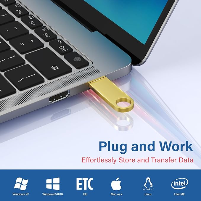 5 Pack 2GB USB Flash Drive with Keychains, Wooolken Sleek Metal USB 2.0 Thumb Drives Memory Stick for PC Laptop Computer