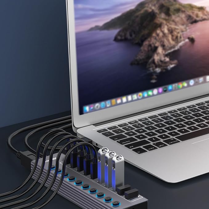 Tccmebius Powered 10-Port USB 3.0 Hub, USB C to 10 Ports USB Data Hub Splitter with Individual LED On/Off Switche, 3.3FT Cable, 12V/3A Power Adapter, for Laptop MacBook Pro/Air PC (Aluminum Gary)