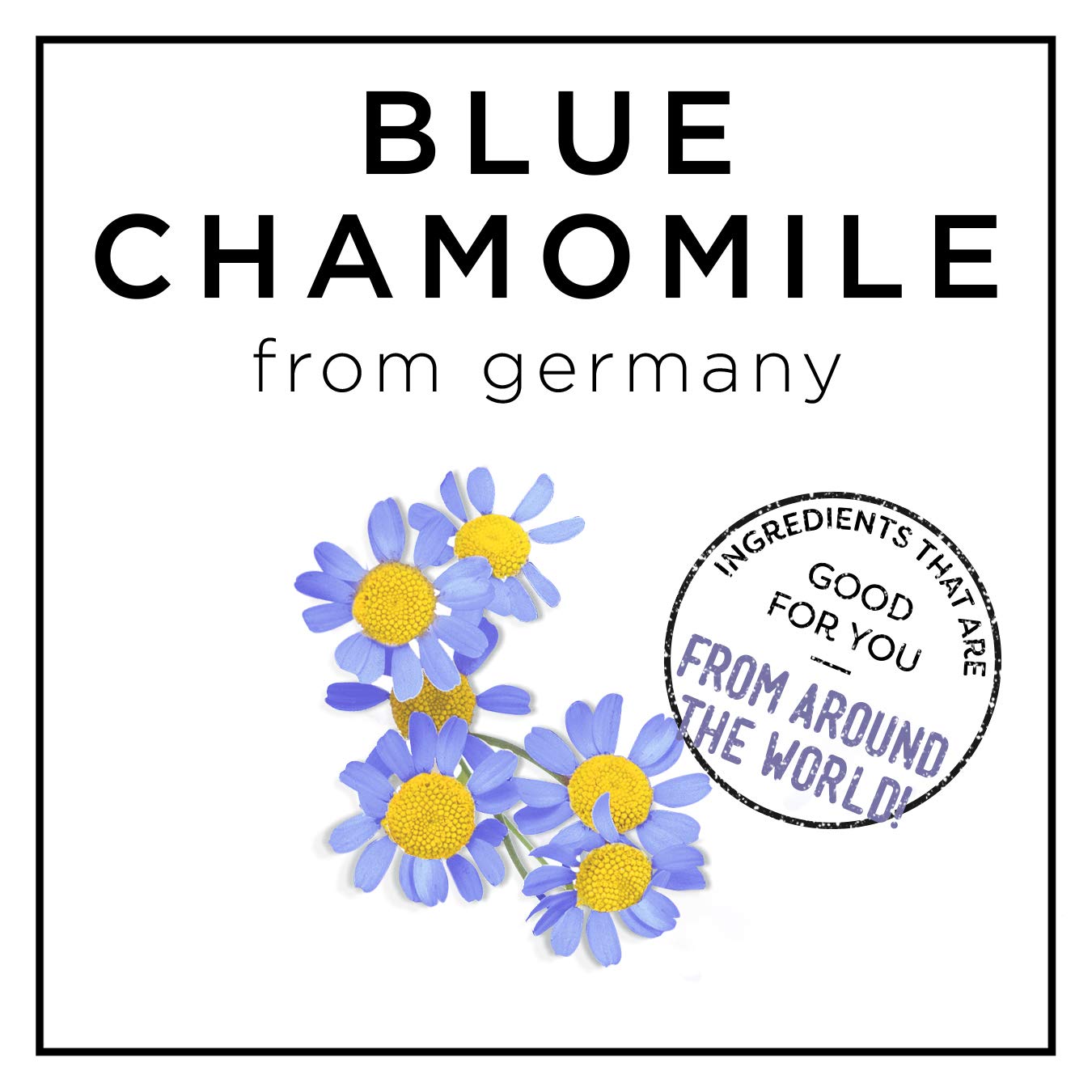 Hask Chamomile & Argan Oil Blonde Care Shampoo, 12 Ounce