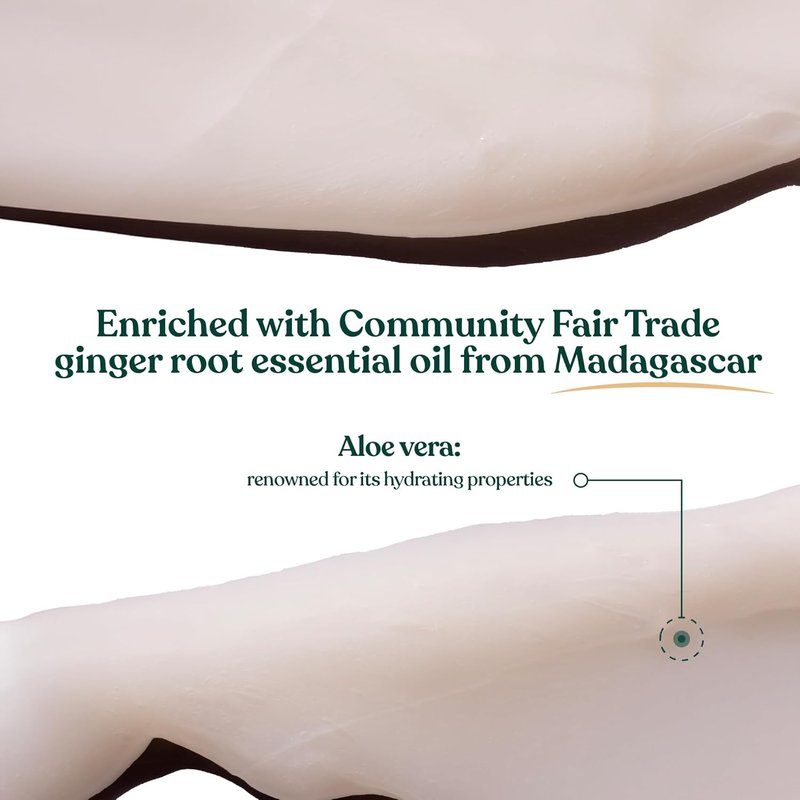 Ginger Conditioner for Scalp Care - Refreshing Vegan Formula with Ginger Essential Oil | 8.4 fl oz