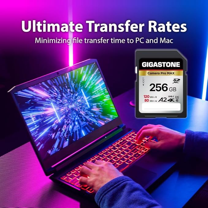 【5-Years Data Recovery】 GIGASTONE 256GB SD Card 2-Pack, 4K Camera Pro MAX, UHS-I A2 4K SDXC Memory Card High Speed 4K UHD Video Compatible with Kodak Digital Camera, with 2 Mini Cases