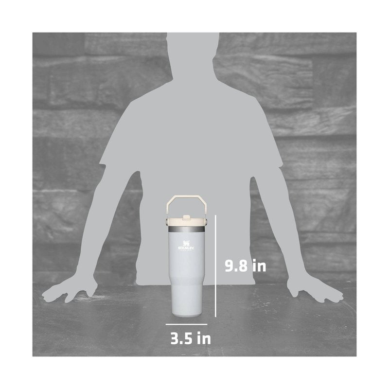 Stanley IceFlow Stainless Steel Tumbler - Vacuum Insulated Water Bottle for Home, Office or Car Reusable Cup with Straw Leak Resistant Flip Cold for 12 Hours or Iced for 2 Days, Cloud, 30 OZ / 0.89 L
