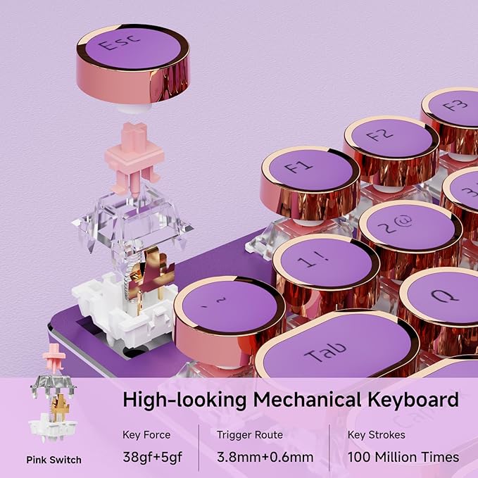 EWEADN Wired Typewriter Mechanical Keyboard, Low Noise Pink Switch Retro Punk Keyboard with Media Knob, White Backlit, Metal Panel, 104-Key Round Keycaps Cute Keyboard for Windows PC -Purple