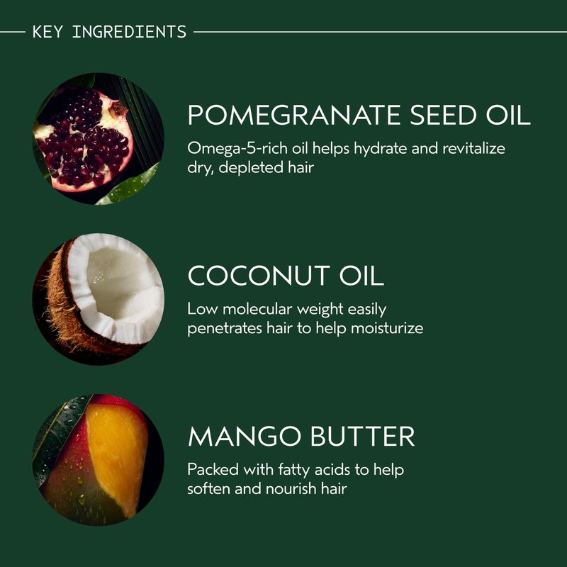 Aveda Nutriplenish Treatment Masque Light Moisture | Conditioning Mask for Fine to Medium Dry Hair | Organic Pomegranate Oil, Coconut Oil, Mango Butter | 98% Naturally Derived*, 0.85 Fl Oz