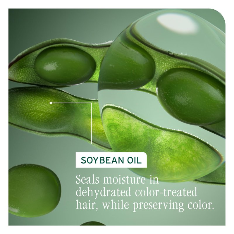 Biolage Color Last Shampoo and Refill Shampoo Set - Protects & Preserves Color Treated Hair, Adds Shine, With Soybean Oil & Stearic Acid, Paraben & Mineral Oil-Free