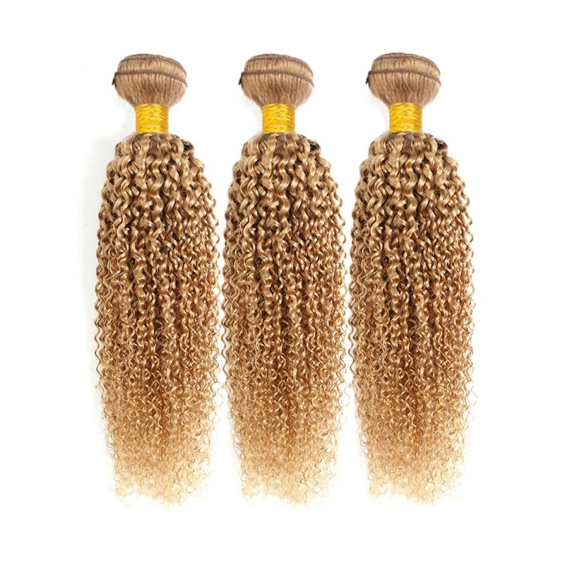 Color 27 Curly Wave Bundle Honey Blonde Human Hair 3 Bundles Kinky Curly Brazilian 100% Unprocessed Virgin Extensions Double Weft Bundle 8 10 12 Inch