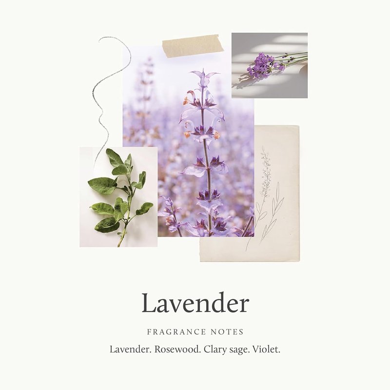Thymes Lavender Hand Wash - Hydrating Liquid Soap with Calming Scent | 15 Fl Oz