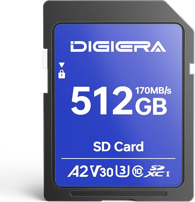 DIGIERA 512GB LS100 SDXC UHS-I Memory Card - up to 170MB/s, C10, U3, V30, 4K UHD, SD Card for Computers, Digital Cameras, Home Theatre Devices, Car Navigation Systems (1 Pack)