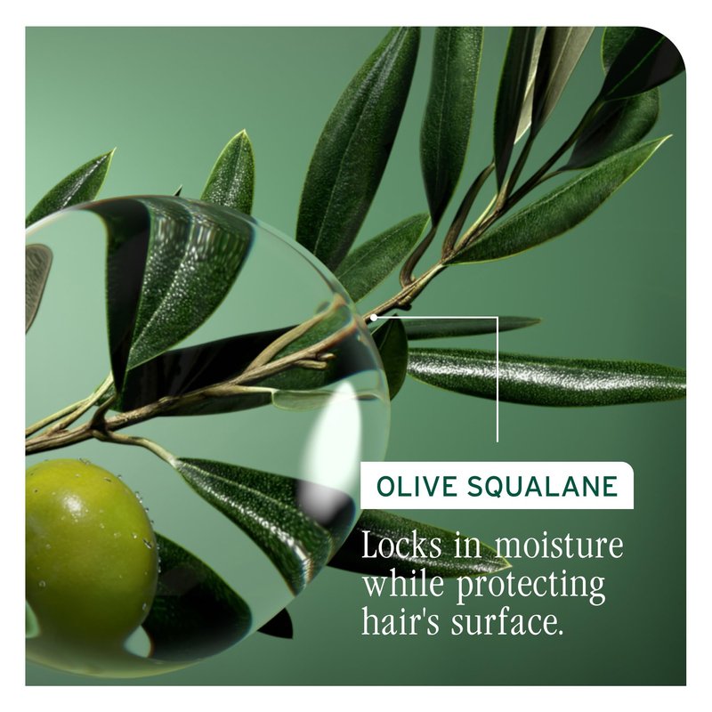 Biolage Strength Recovery Repairing Spray - Leave-In Treatment, Strengthens & Repairs Damaged Hair, Heat Protectant, Detangling Leave-In Treatment, With Olive Squalane & Vegan Proteins, 13.5 Fl Oz
